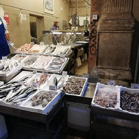 Appartamento: Tranquillita O Divertimento *