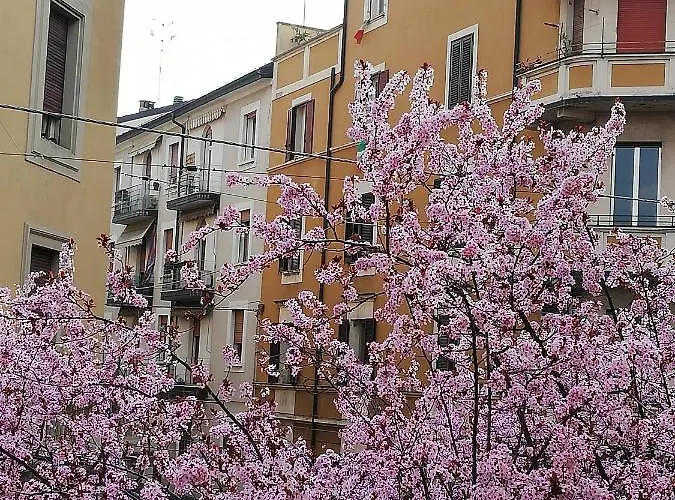 דירה Appartamento: Tranquillita O Divertimento