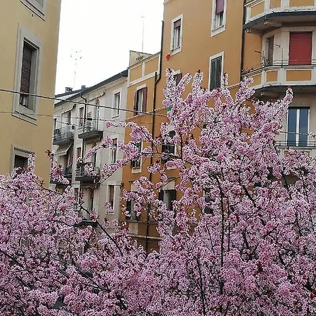 Apartamento Appartamento: Tranquillità O Divertimento