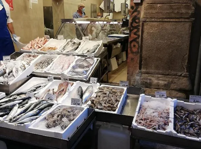 Appartamento: Tranquillita O Divertimento *