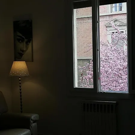 Appartamento: Tranquillita O Divertimento Apartment *